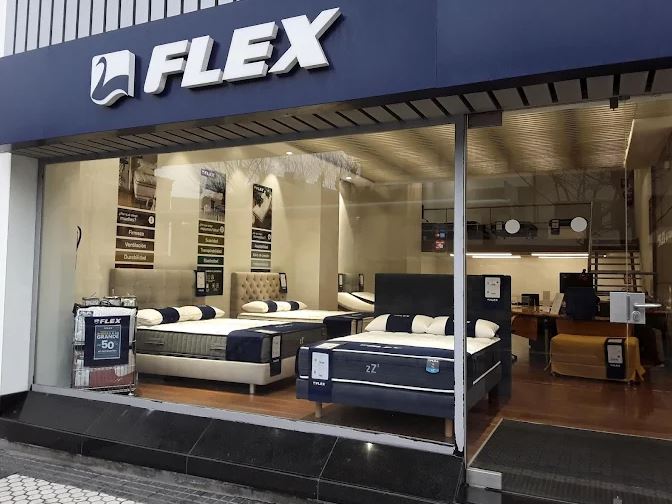 FLEX NOCTALIA SAN SEBASTIAN